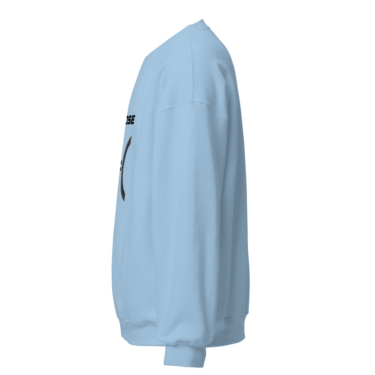 Sweatshirt "Close the gap" light blue